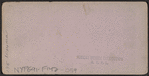 View of Congress Park, Saratoga, N.Y.