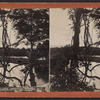 Geyser Lake, Saratoga Springs, N.Y.
