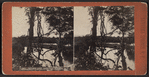 Geyser Lake, Saratoga Springs, N.Y.