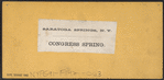 Saratoga Springs, N.Y. Congress Spring.