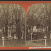 Grounds in rear of Grand Union Hotel.