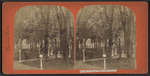 Grounds in rear of Grand Union Hotel.