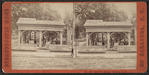 Hamilton Spring, Saratoga, N.Y.