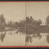 Trout Pond, Saratoga, N.Y.