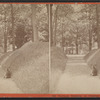Northern Entrance to Congress Park, Saratoga, N.Y.