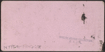 Broadway, Looking North, Saratoga, N.Y.