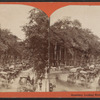 Broadway, Looking North, Saratoga, N.Y.