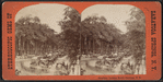 Broadway, Looking North, Saratoga, N.Y.