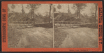 Geyser Park. -- Saratoga, N.Y.