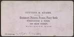 Congress Spring and Park, Saratoga, N.Y.