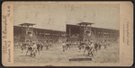 Race Track, Saratoga.