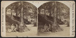 The Ramble, from Drinking Fountain.