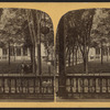 Grounds from Rear Piazza of Grand Union Hotel.