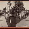 Star Spring, Saratoga, N.Y.