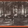Indian Grounds, Saratoga Springs, N.Y.