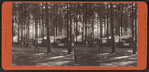 Indian Grounds, Saratoga Springs, N.Y.