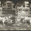 A Fairy Turnout, Floral Parade, Saratoga, N.Y.