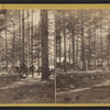 Circular Railway at the Indian Encampment.