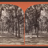Park, Grand Union Hotel.