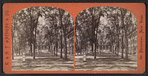 Park, Grand Union Hotel.