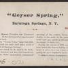 Geyser Spring, Saratoga Springs, N.Y.