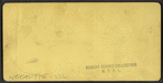 Excelsior Spring, Saratoga, N.Y.