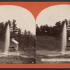 Champion Sprouting Spring, Saratoga N.Y.