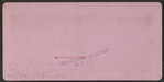 Lawn View, United States Hotel, Saratoga, N.Y.
