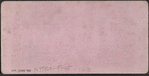 United States Hotel Dining Room, Saratoga, N.Y.