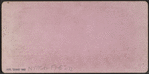 Division Street front, U.S. Hotel, Saratoga, N.Y.