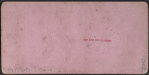 Grand Stand at Intercollegiata Regatta, Saratoga Lake, 1874.