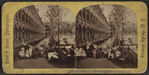 Cottage Row, United States Hotel, Saratoga, N.Y.