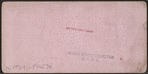 Lawn View, United States Hotel, Saratoga, N.Y.
