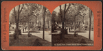 Lawn View, United States Hotel, Saratoga, N.Y.