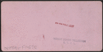 Lawn View, United States Hotel, Saratoga, N.Y.