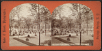 Lawn View, United States Hotel, Saratoga, N.Y.