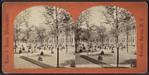Lawn View, United States Hotel, Saratoga, N.Y.