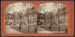 Lawn View, United States Hotel, Saratoga, N.Y.