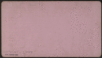Grand Union Hotel Party, Saratoga, N.Y.
