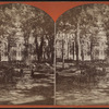 Grand Union Hotel Party, Saratoga, N.Y.