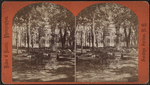 Grand Union Hotel Party, Saratoga, N.Y.