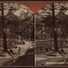 Ramble in Congress Park, Saratoga, N.Y.