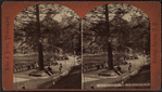 Ramble in Congress Park, Saratoga, N.Y.