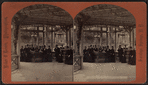 Interior, Columbian Spring.