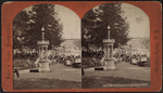 Afternoon in Congress Park.