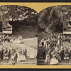 View at Saratoga. [Music Stand.]