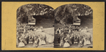 View at Saratoga. [Music Stand.]