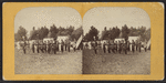 Utica Citizens' Corps, Camp Greenman,  Saratoga Springs, 1869.