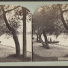 Saratoga Lake & vicinity.
