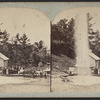 Visitors at Saratoga Springs.